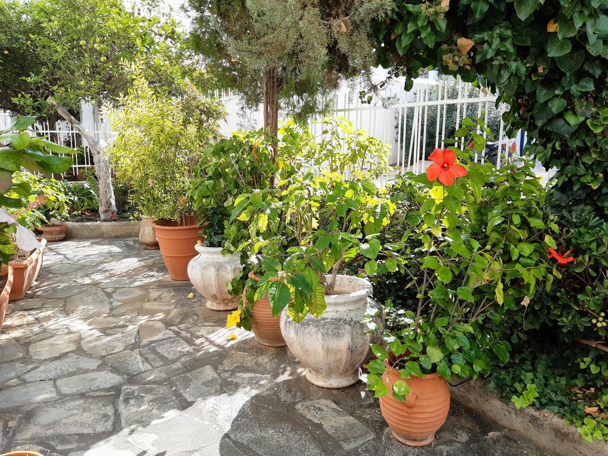 The Elegant Summer House Spetses Town Luaran gambar